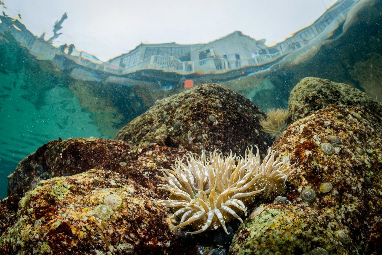 What are coral reefs? Importance, threats,… | Monterey Bay Aquarium