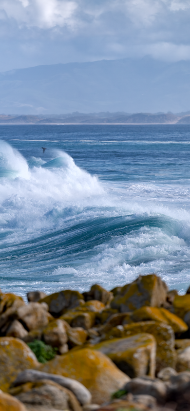 Large ocean waves crashing near a rocky coastline with lichen covered boulders and mountains visible in the distance