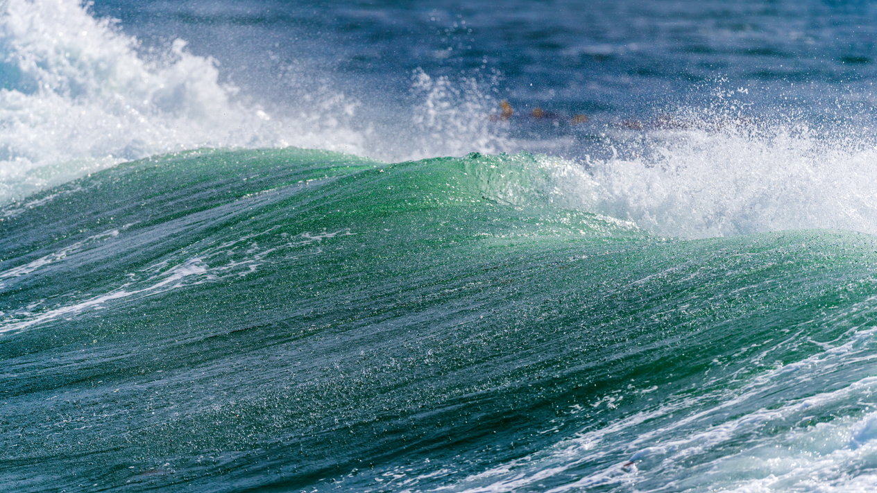 Close-up of a long blue-green wave breaking, with the ocean visible in the background