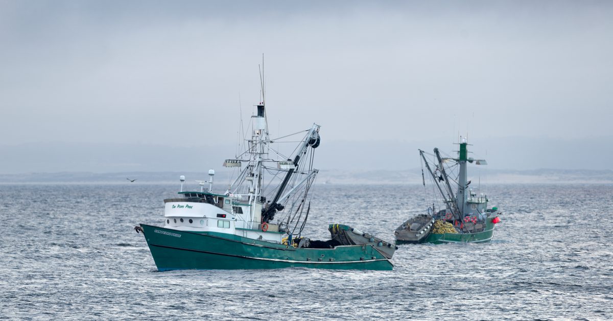 Fishing Farming Seafood Monterey Bay Aquarium fishing-farming-seafood-monterey-bay-aquarium