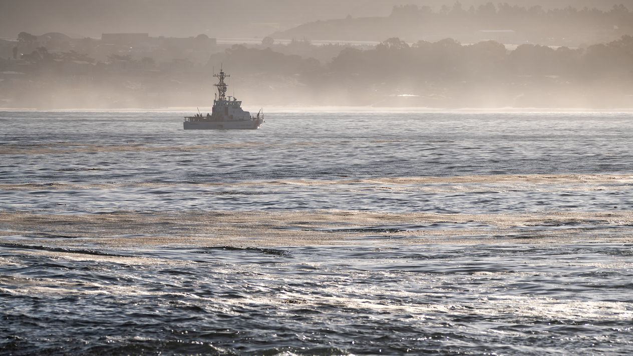 Fishing boat anchored offshore in hazy ocean waters with choppy waves and coastline in background