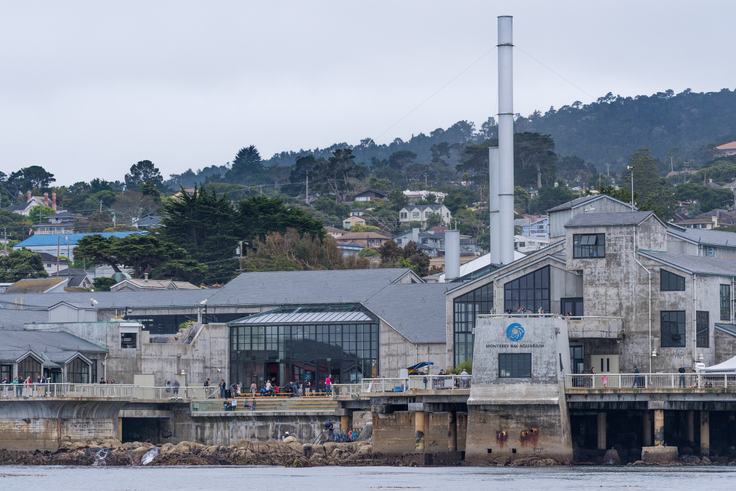 A view of the back of the Aquarium on the Monterey Bay