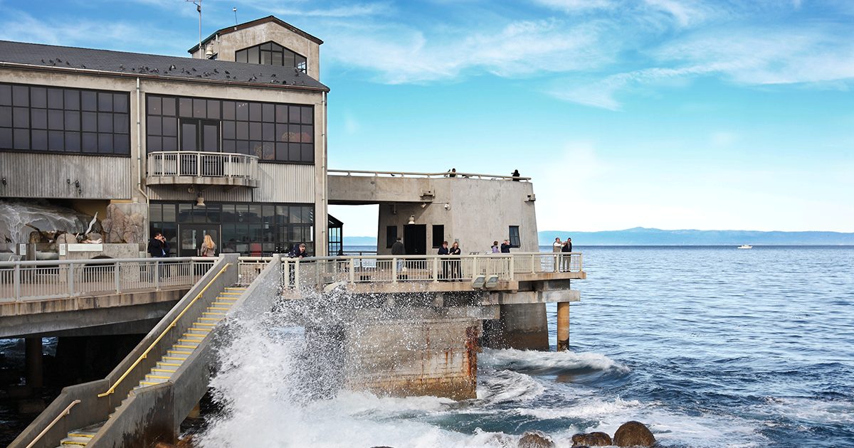 Local Animals Worksheet Press releases and statements | Monterey Bay Aquarium