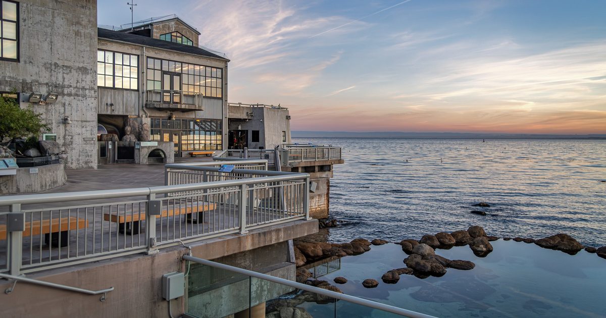 Monterey Bay Aquarium Recognizes Ocean Monterey Bay Aquarium monterey-bay-aquarium-recognizes-ocean-monterey-bay-aquarium
