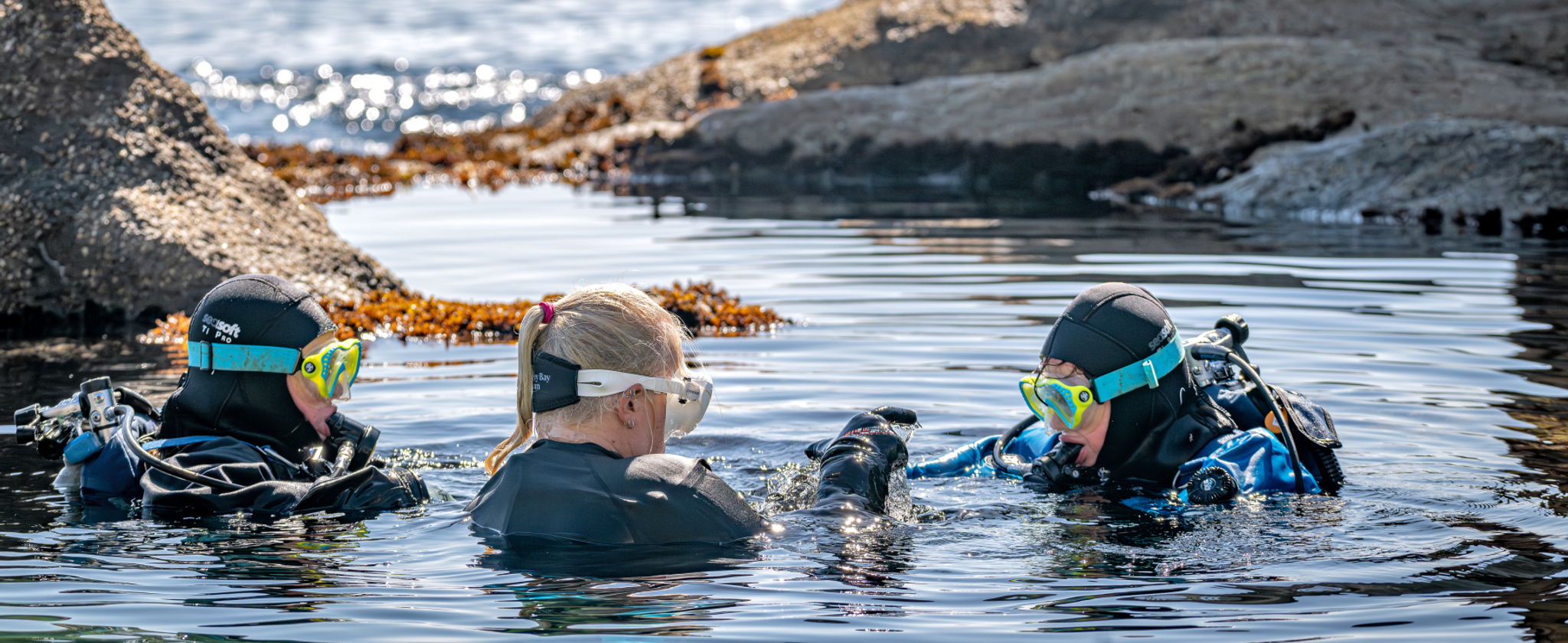 Two young divers and an instructor in scuba gear surface in the Tide Pool and closely observe a marine organism.