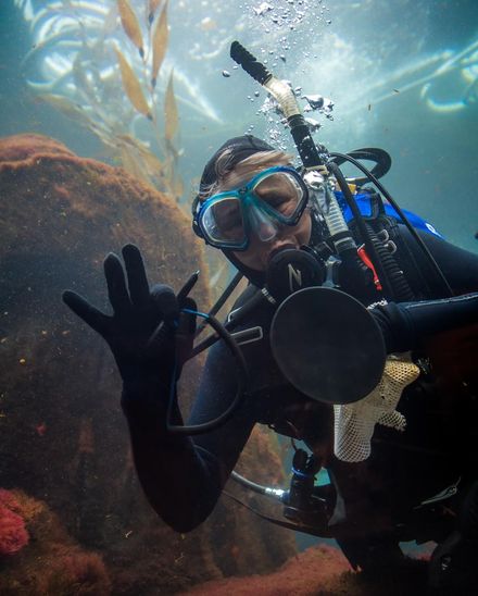 Divers in the Kelp Forest Exhibit cleaning the windows