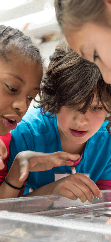 Students participating in discovery labs inspecting animals close up