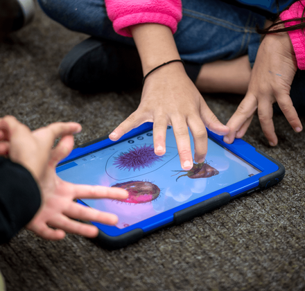 Close-up of children's hands using a digital tablet to interact with a science lesson featuring detailed images of purple sea urchins and snails