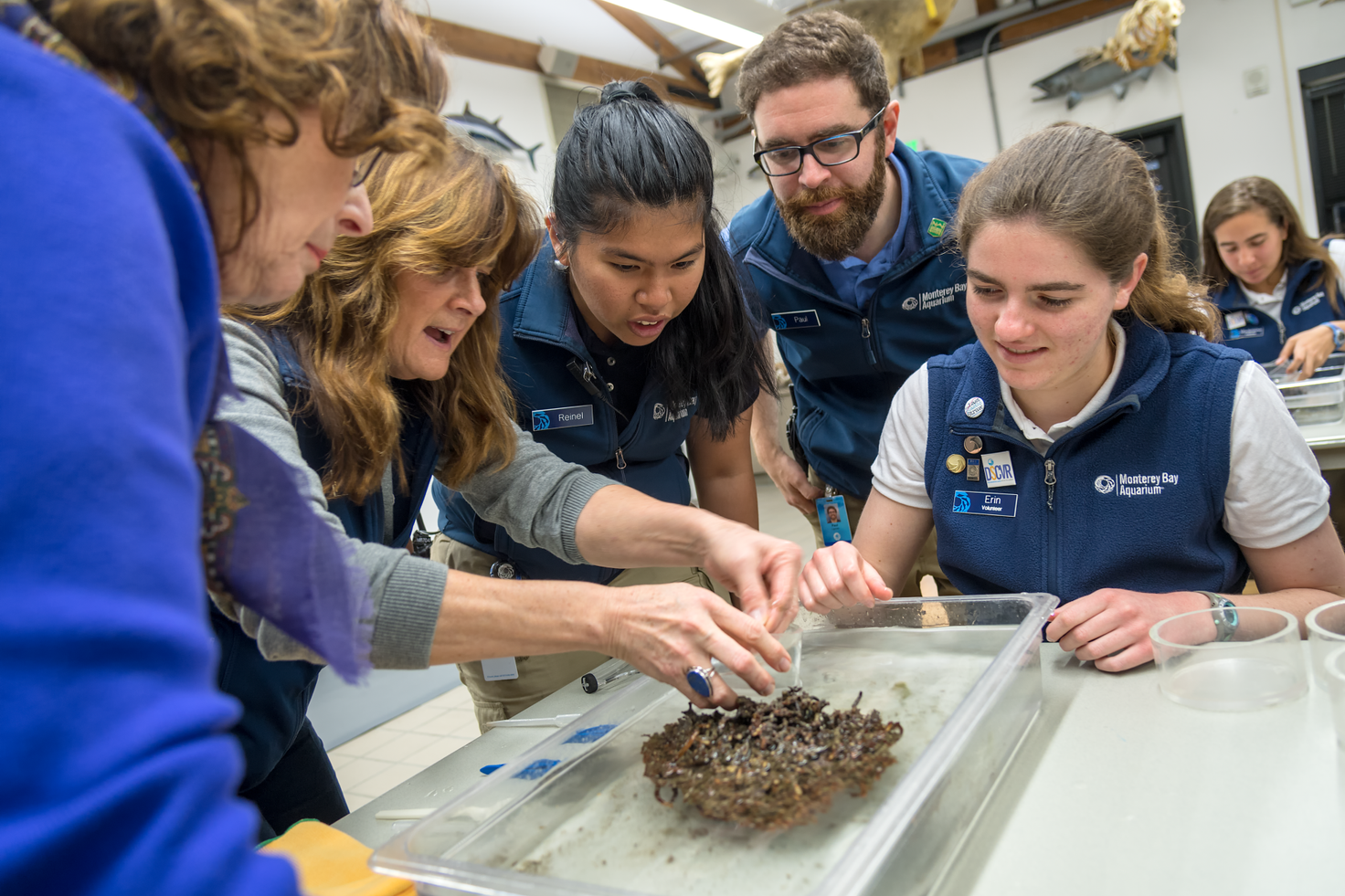 Ocean education programs | Monterey Bay Aquarium