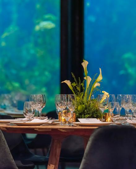 A dining table set for an evening dinner event in front of large windows looking into the lush Kelp Forest exhibit of the Monterey Bay Aquarium