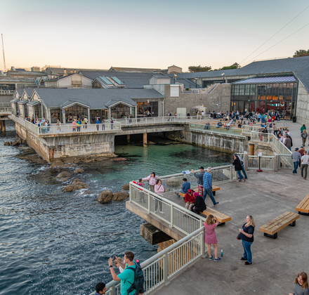 Visitors enjoy the Tide Pool Deck as the sun begins to set