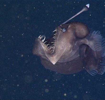 Hours & schedule | Monterey Bay Aquarium