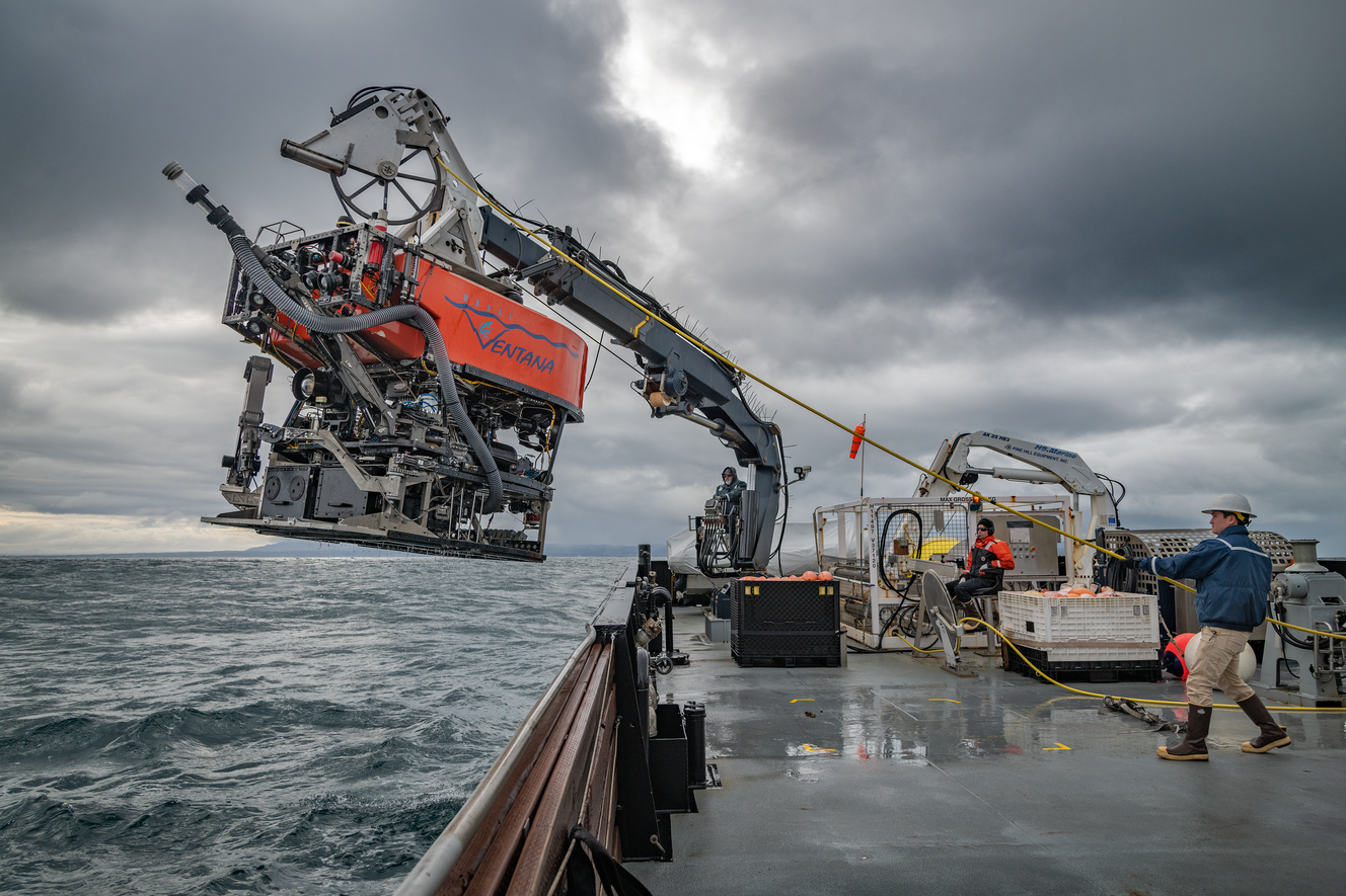 Taking seawater to the extreme | Monterey Bay Aquarium
