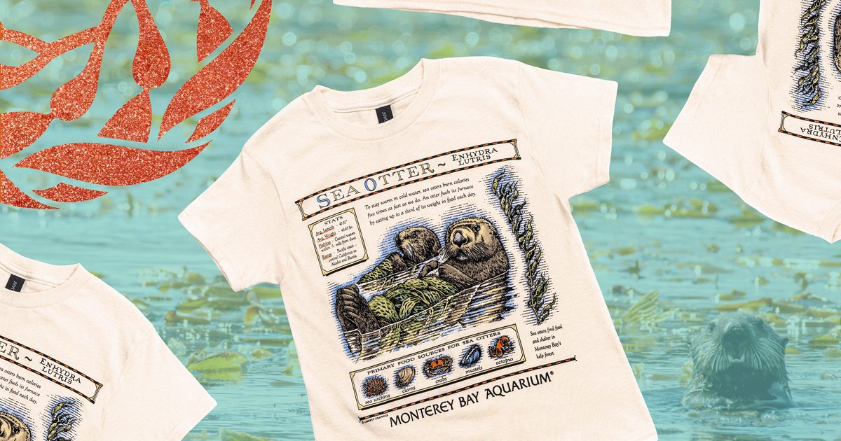 An off white shirt featuring a vintage Monterey Bay Aquarium southern sea otter illustration layered on top of  a teal tinted photo of a wild sea otter poking its head out of the water