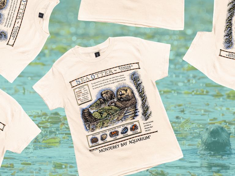 An off white shirt featuring a vintage Monterey Bay Aquarium southern sea otter illustration layered on top of  a teal tinted photo of a wild sea otter poking its head out of the water