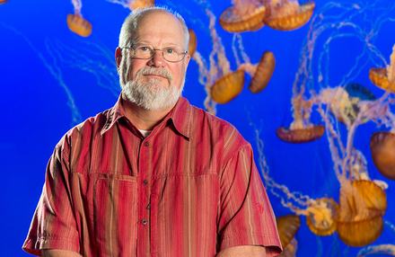 Profile of Dr. Mike Murray, Jane Dunaway Director of Veterinary Services in front of the jellies exhibit