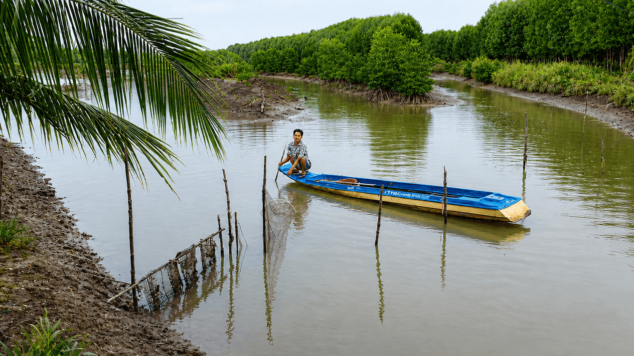 Vietnamese farmer sitting in blue boat on mangrove-lined waterway in Vietnam