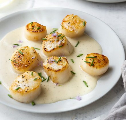 Seared scallops arranged on a white plate and topped with chopped chives, served with a pale, creamy sabayon sauce.