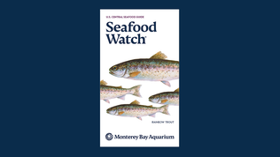 National Seafood Guide | Monterey Bay Aquarium