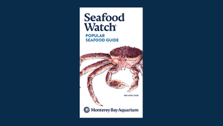 Popular Seafood Guide | Monterey Bay Aquarium