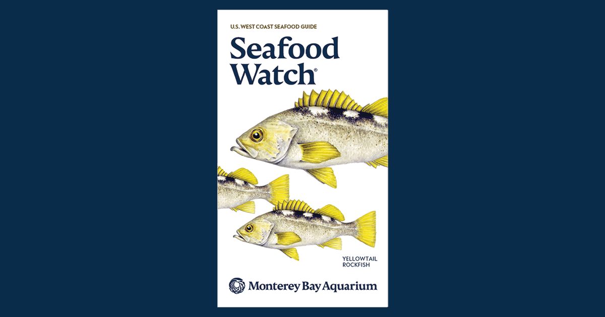 U.S. West Coast Seafood Guide | Monterey Bay Aquarium