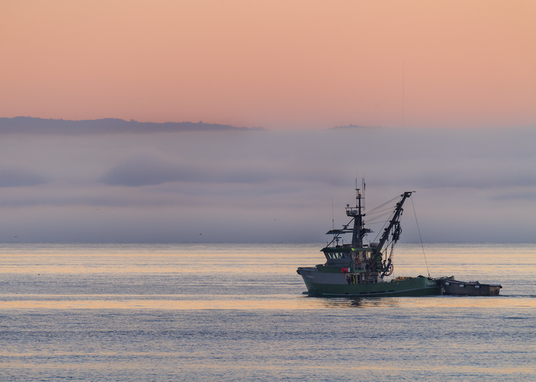 Squid fishing boat on calm water at sunrise in Monterey Bay with soft orange sky and low fog