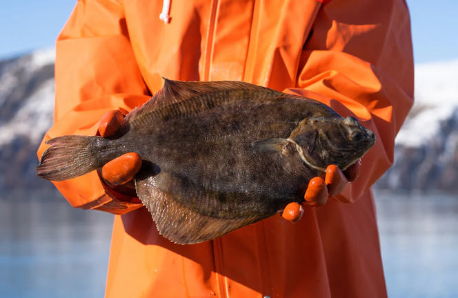 A fisher in an orange jacket holds a flounder in the foreground and water and snowy landscape in the background.