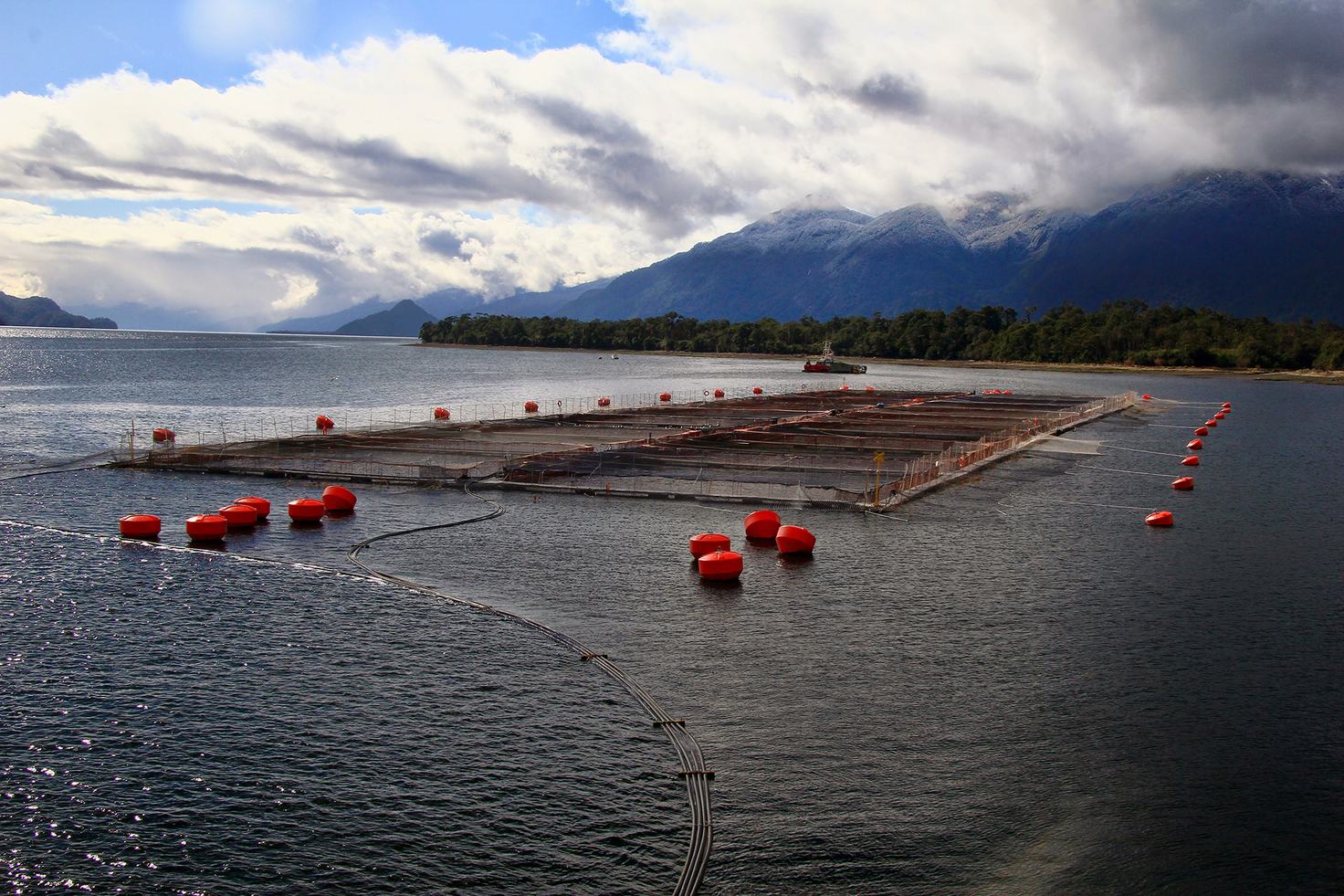 Aquaculture farm in an ocean bay with mountains and clouds in the background