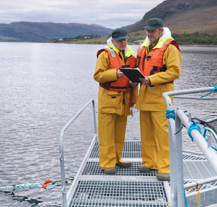 Two aquaculture workers in yellow rain gear review a clipboard on a platform over a calm mountain fjord