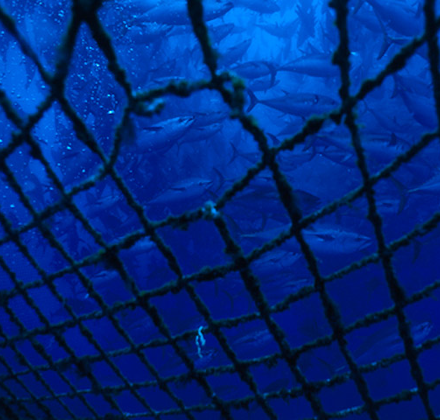 A fishing net with a whole floating in the deep blue ocean