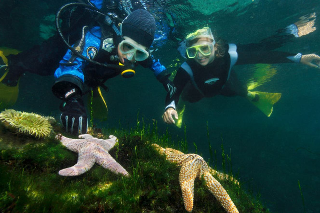 50,000 kids inspired by the ocean with… | Monterey Bay Aquarium