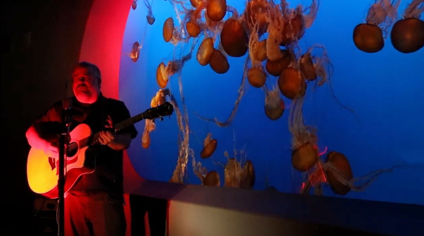 Meet Tommy — the talent behind the jellies | Monterey Bay Aquarium
