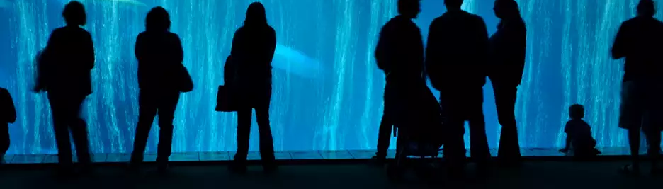 Silhouettes of visitors looking into the large window of the Open Sea