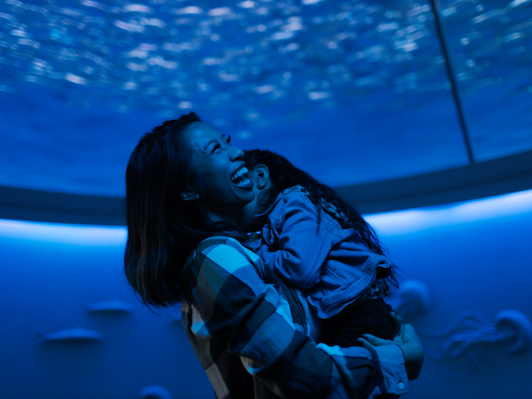 A laughing visitor holds a small child up in with sardines swimming above them