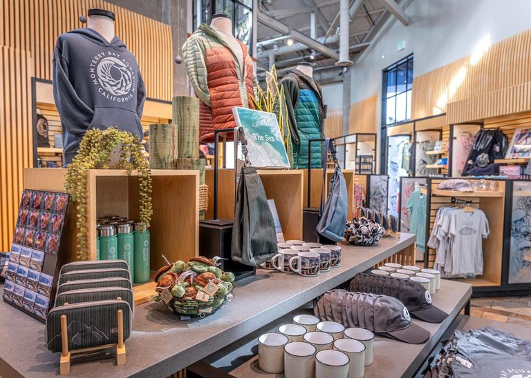 View of Aquarium merchandise in the store